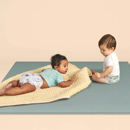 The Honest Company Clean Conscious Disposable Diapers Winter Wags & Adorably A-moosing