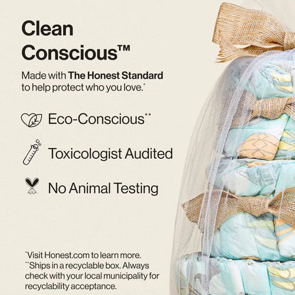 The Honest Company Clean Conscious Diaper Cake - Above It All - 39ct