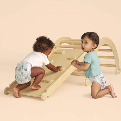 The Honest Company Clean Conscious Disposable Diapers Winter Wags & Adorably A-moosing